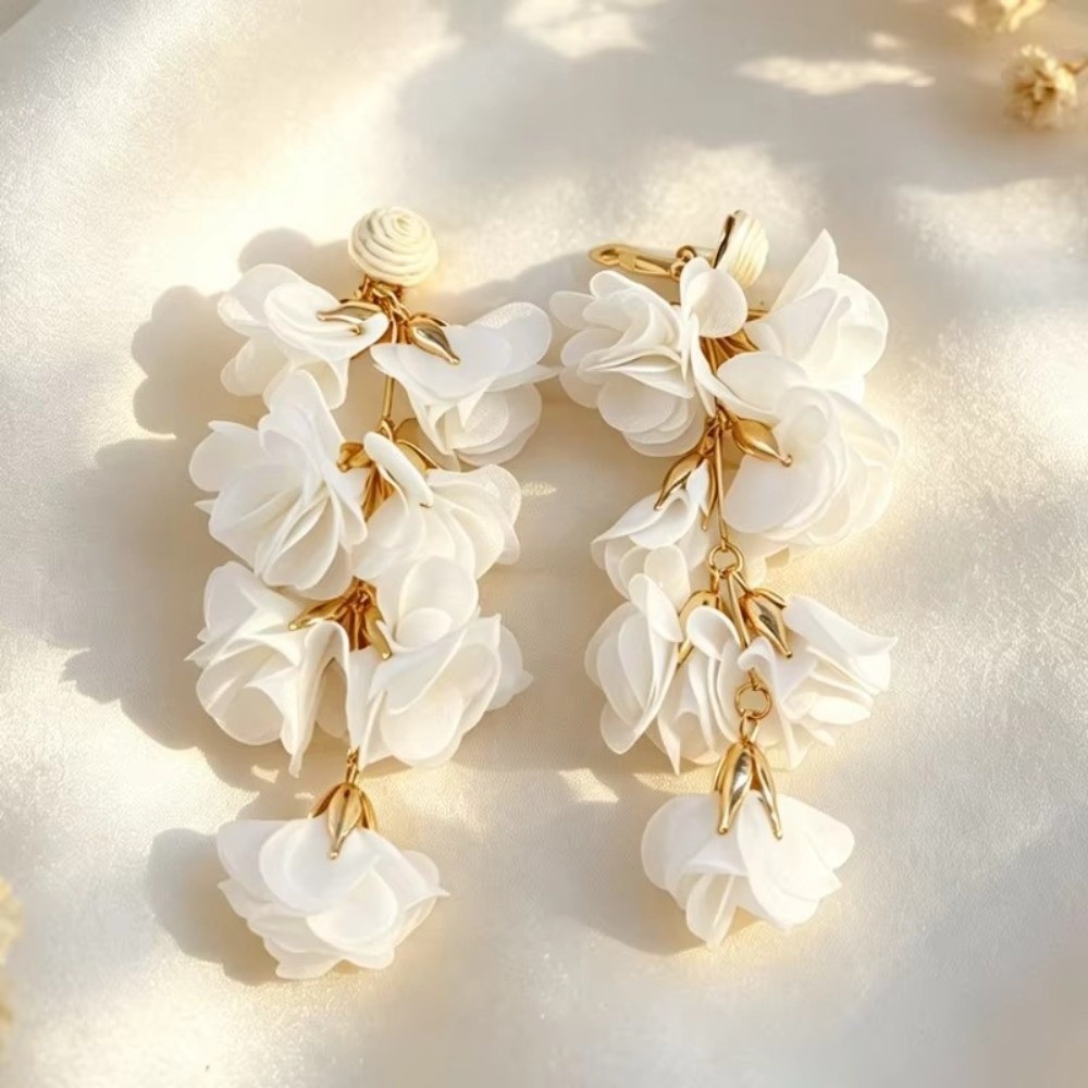 Ethnic Style Tassel Earrings C - Tassel Earrings Boho 评论和价格